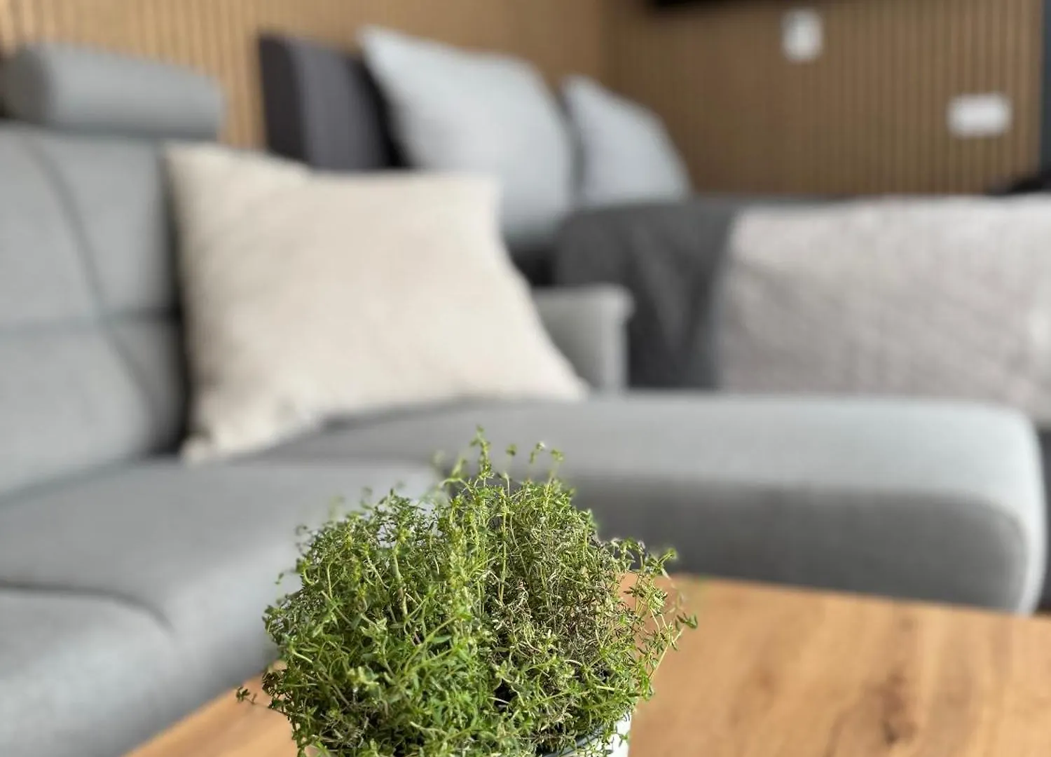 Airport Luxury Apartment & Spa Prague