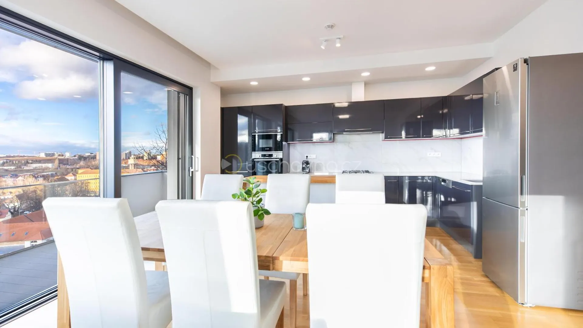 Airport Luxury Apartment & Spa Praha