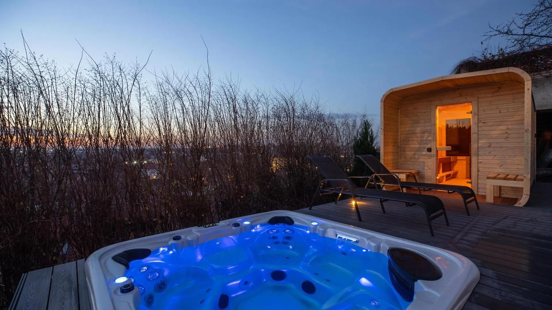Airport Luxury Apartment & Spa Praha