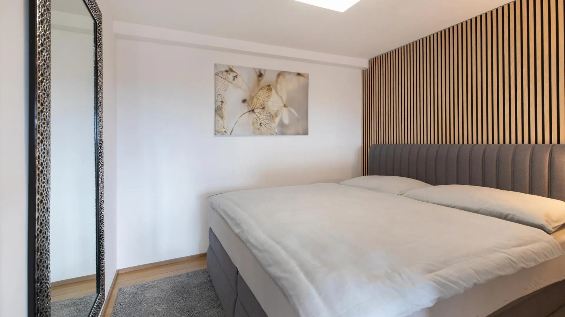 Airport Luxury Apartment & Spa プラハ 0*,  チェコ